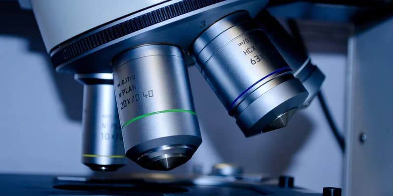 Wetenschappelijk bewijs voor chiropractie